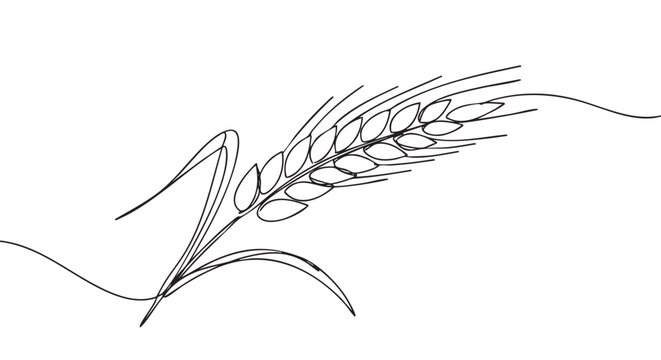 Simple elegant continuous line drawing of a wheat ear, depicting agricultural growth and natural beauty with a minimalist artistic style