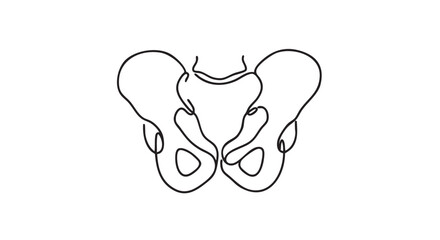 Minimalist continuous line art human pelvis illustration depicting the anatomical structure of the hip bones with a clean, modern aesthetic