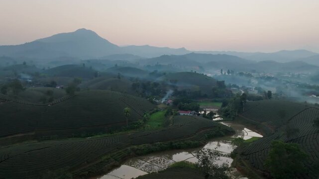 Golden dawn illuminates tea-covered hills and scattered ponds as light haze and smoke linger above the valley, creating a calm rural scene.