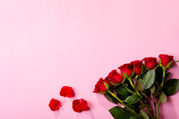 Directly above view of fresh red roses and petals with copy space over pink background