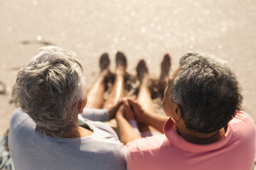 Obraz premium High angle rear view of senior multiracial couple holding hands at beach during sunny day