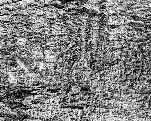 Obraz premium Abstract black and white grunge background with halftone dotted texture and distressed industrial overlay for modern graphic design.