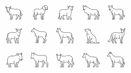 vector illustration of animals