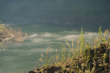 Soft morning mist drifts across a calm river shoreline, with wild grasses and foliage catching gentle autumn light in a quiet, atmospheric landscape.