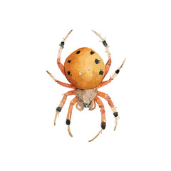 Vibrant Cartoon Spider Illustration Isolated on White Background.