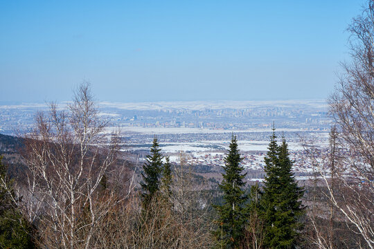 Aerial view of a large city and snowy landscape from a mountain covered with birch and fir trees. Winter cityscape with clear blue sky. Krasnoyarsk city view from Chernaya sopka mountain top