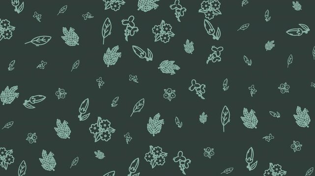 Seamless looping animation of hand drawn botanical elements with leaves and flowers in line art style. Elegant nature motion graphic ideal for backgrounds, branding, and calm visual projects.
