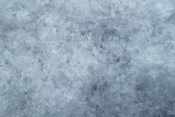 雪（マクロ撮影）