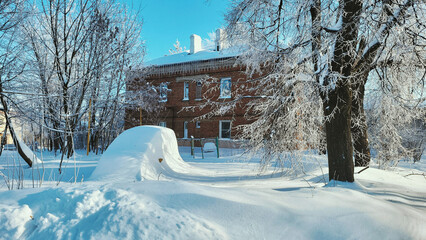 snow covered trees