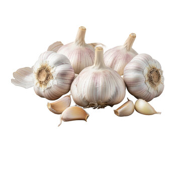 Fresh heads and cloves of garlic