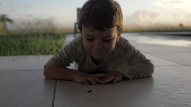 Petit gar&ccedil;on observant des fourmis