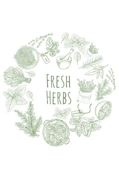 Round herb frame with vintage hand drawn botanical leaves for natural cooking theme