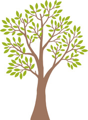 Obraz premium Simple Stylized Tree with Green Leaves