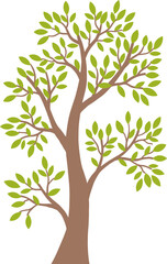 Obraz premium Simple Stylized Tree with Green Leaves