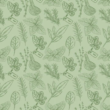 Allover herbal print pattern with vintage hand drawn botanical plants and foliage