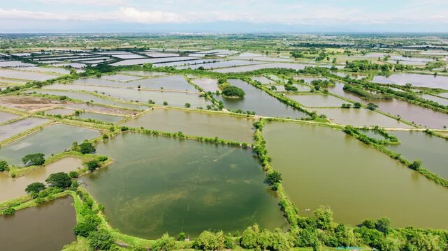 Drone glides sideways above vast fishpond fields near Lingayen Pangasinan
