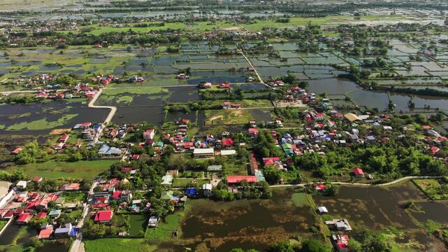 Traditional Bangus farming ponds spread across lush Philippine wetlands