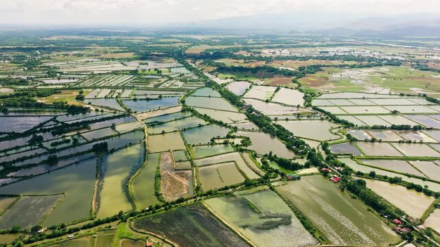 Epic drone panorama of coastal fishpond farming landscape, Lingayen Philippines
