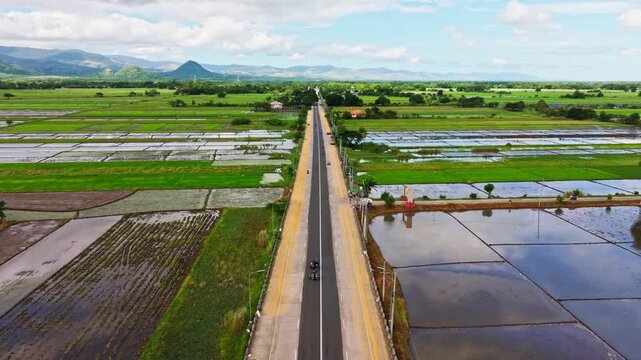 Vehicles pass along Romulo Highway where rice is sun dried on asphalt road