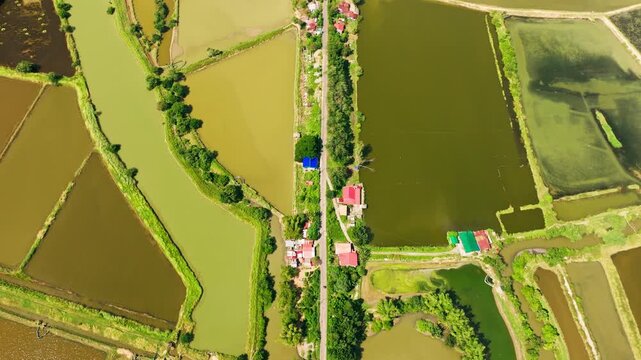 Forward drone flight above rural road between fishponds in Lingayen Philippines