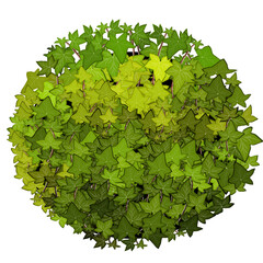 Green Bush Illustration⁠
