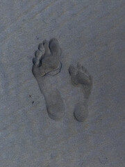 Footprints in the sand, left by an adult and child, walking along the beach. The footprints are a reminder of a shared experience.