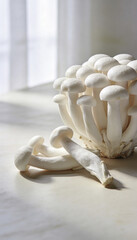 Fresh white shimeji mushrooms in natural light.