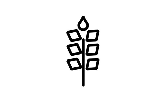 Wheat Or Grain Growth Motion Icon. Animated line art of a wheat stalk or grain representing agriculture, harvest, and organic farming.