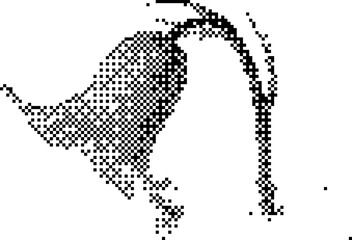 Fototapeta premium Abstract black and white stippled graphic design featuring organic flowing shapes and grainy dotwork texture on a white background