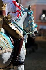 Close-up detail of Su Componidori during the Sartiglia of Oristano, traditional Sardinian equestrian carnival. Sacred costume, ceremonial sword and horse harness symbolizing history, culture and folkl