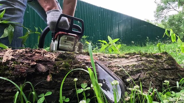 gardener with chainsaw in the garden