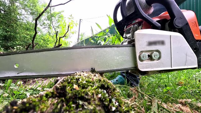 gardener with chainsaw in the garden
