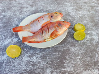 Raw red tilapia on a white plate looks fresh, rich in animal protein