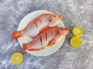 Raw red tilapia on a white plate looks fresh, rich in animal protein