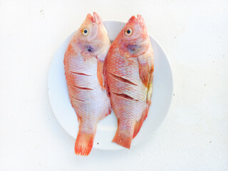 Raw red tilapia on a white plate looks fresh, rich in animal protein