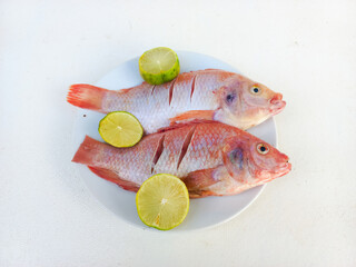 Raw red tilapia on a white plate looks fresh, rich in animal protein