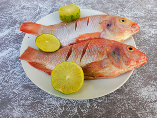 Raw red tilapia on a white plate looks fresh, rich in animal protein