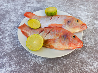 Raw red tilapia on a white plate looks fresh, rich in animal protein