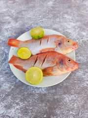 Raw red tilapia on a white plate looks fresh, rich in animal protein