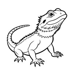 Fototapeta premium Bearded dragon lizard realistic outline illustration vector line art on white background