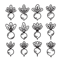 Beetroot Icons Set: Simple Outline Vegetables for Healthy Eating & Farming Concepts