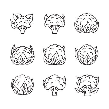 Cauliflower and Broccoli Icons with Leaves, Line Art, Isolated