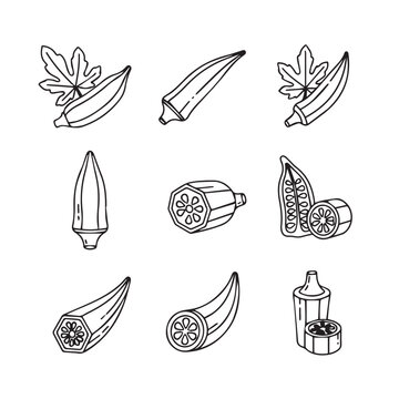 Okra Pods and Slices Line Art Illustration, Fresh Vegetable Details, Stock Media