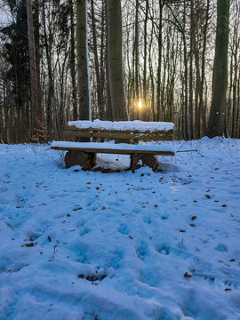 bench in the snow