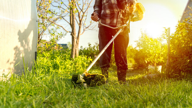 A gardener with a lawn trimmer mows the grass on the property