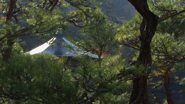 Lens flare blooms over frame: Ukimido pavilion roof in Japanese park