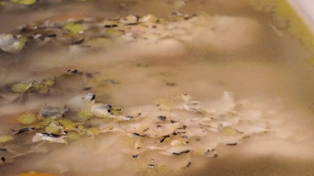 Polish Carp in Jelly ('Karp w Galarecie')Recipe: Authentic Christmas Eve