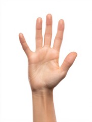 Human hand raised open palm gesture isolated on white background minimal clean design