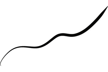An artistic rendering of a wavy line in a minimalist style, viewed from a straightforward perspective, representing abstract art.