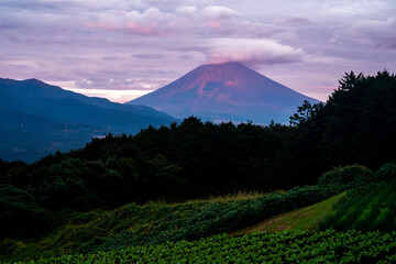 日本の象徴・富士山の写真画像